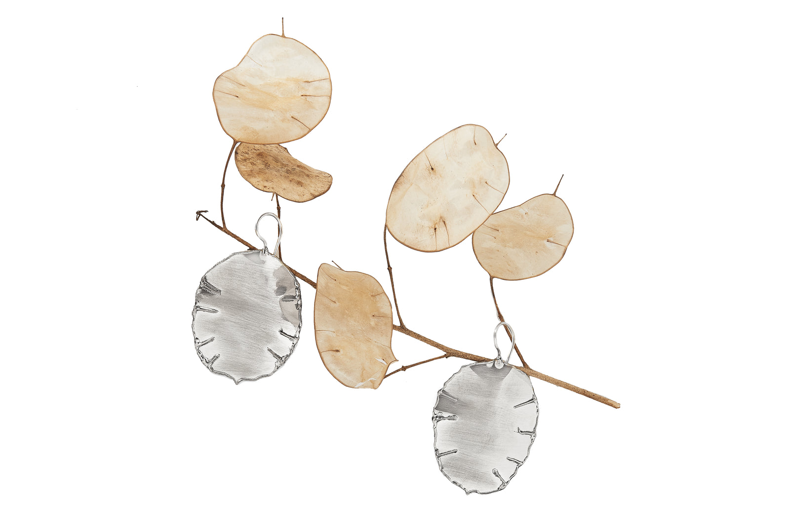 Lunaria Seed Pod Earrings – Gogo Inc.